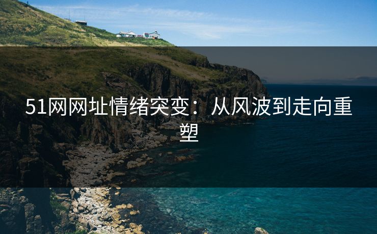 51网网址情绪突变：从风波到走向重塑