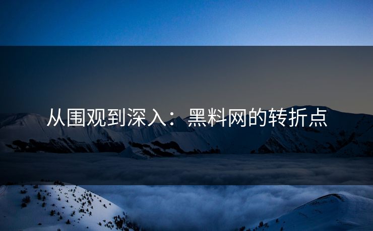 从围观到深入:黑料网的转折点